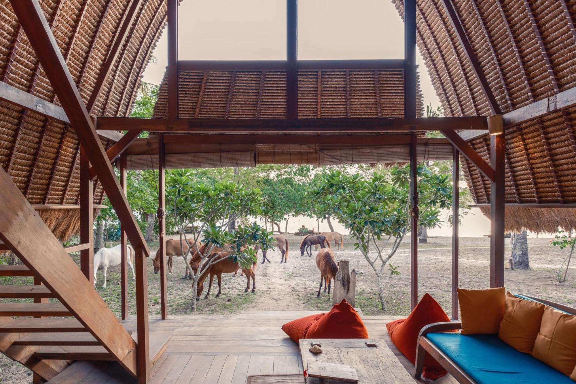 Eco Lodge&restaurant